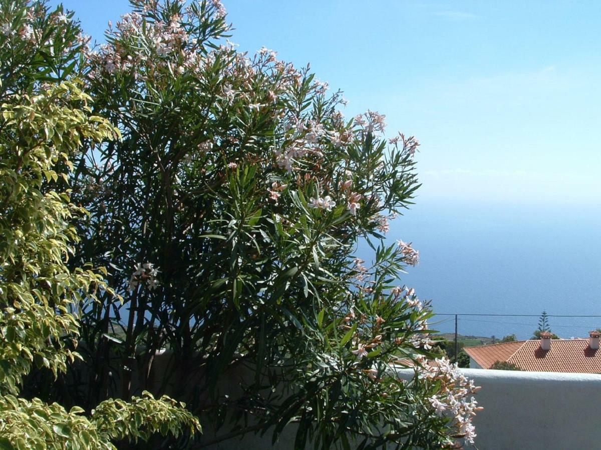 Casa Los Vinedos B Fuencaliente de la Palma Eksteriør billede